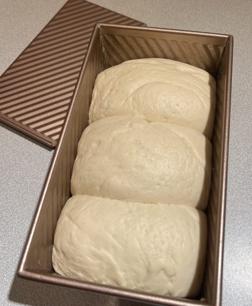 Trois pâtons façonnés et alignés dans un moule à pain de mie